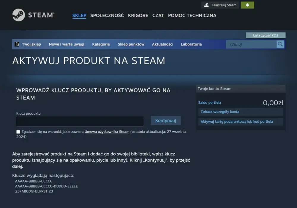 Gdzie wpisać kod Steam, aby szybko aktywować swoją grę?