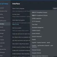 Jak zmienić język Steam i uniknąć problemów z ustawieniami